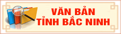 van ban tinh BN.jpg